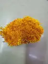 Zhu Guang 01 No. 17 Yellow Flower core Gypsum 01 details Picture